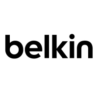 Belkin